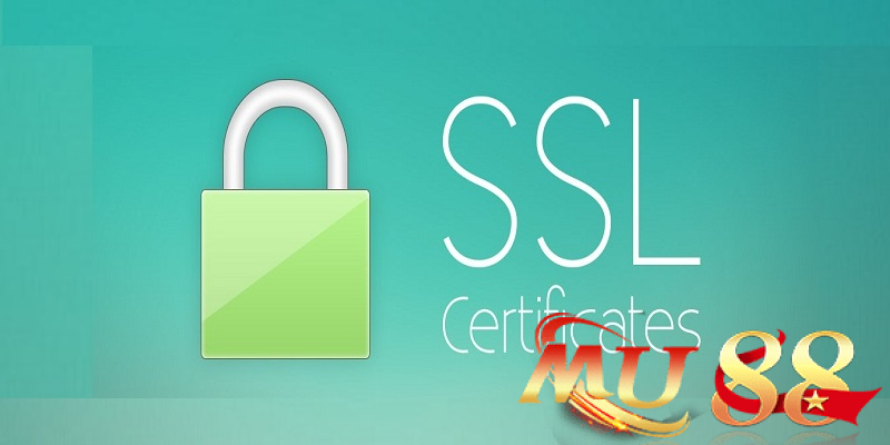 Bầu Cua là gì? Hướng dẫn cách chơi Bầu Cua online tại Mu88 5 Bảo mật SSL 128-bit