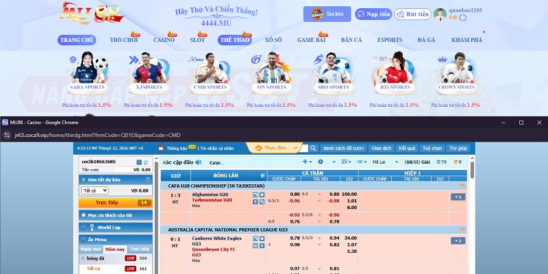 Giới thiệu Mu88 - Tìm hiểu về nhà cái hàng đầu Châu Á 3 Thể thao Mu88 - Thiên đường cược Sport thời thượng bậc nhất