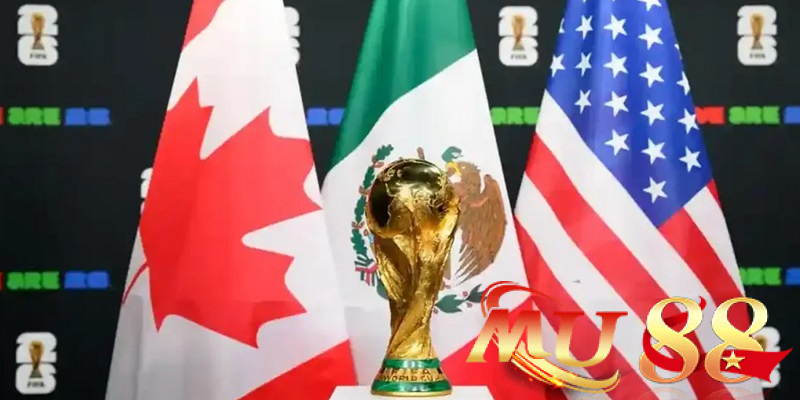 Tổng quan về địa điểm tổ chức World Cup 2026