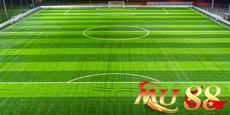 Xem xét mặt sân và không gian thi đấu